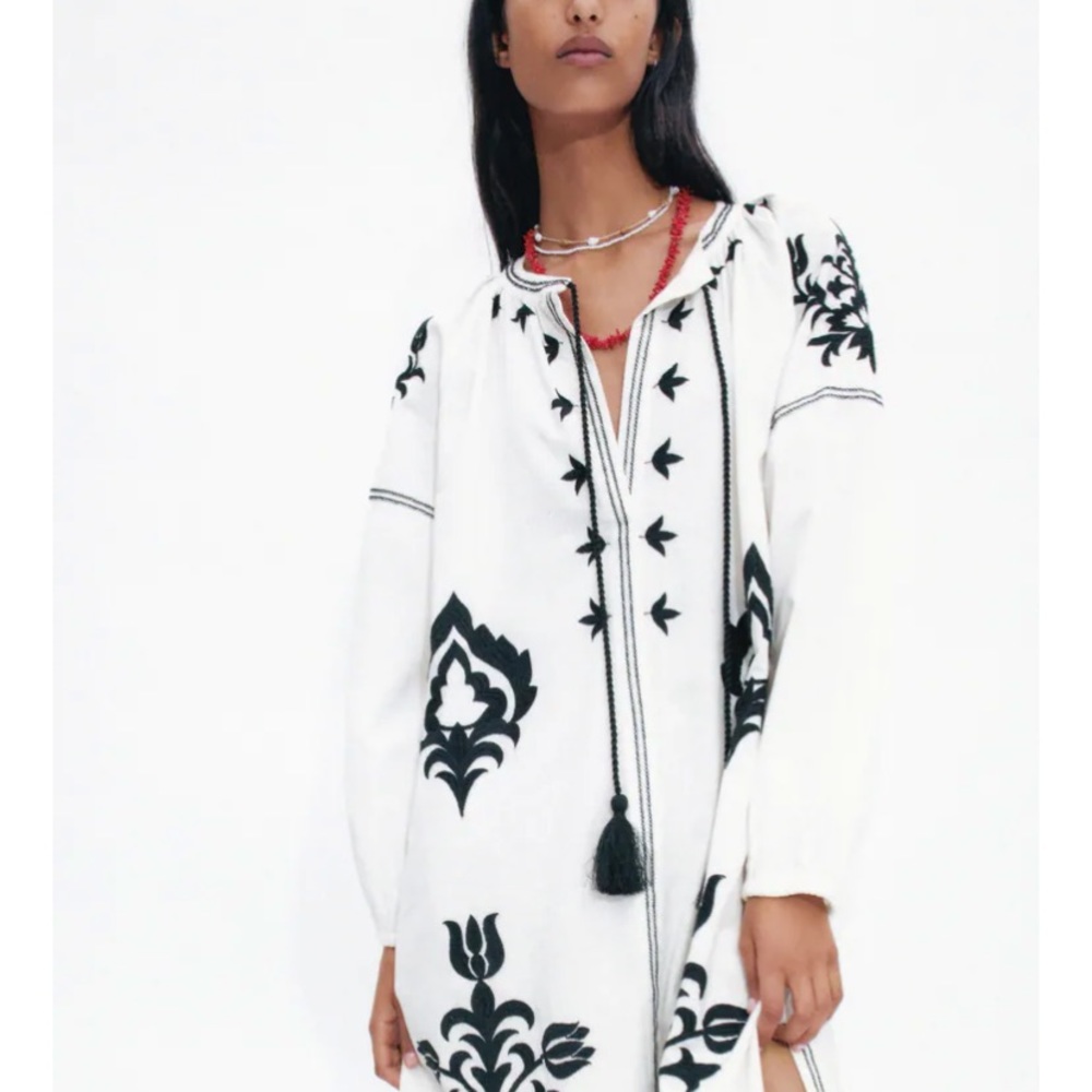 New with tags Zara embroidered dress.